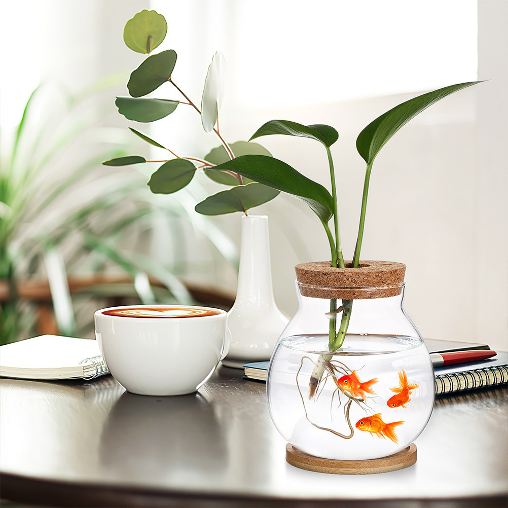 Betta Fish Tank - Desktop Betta Fish Tank Bowl with