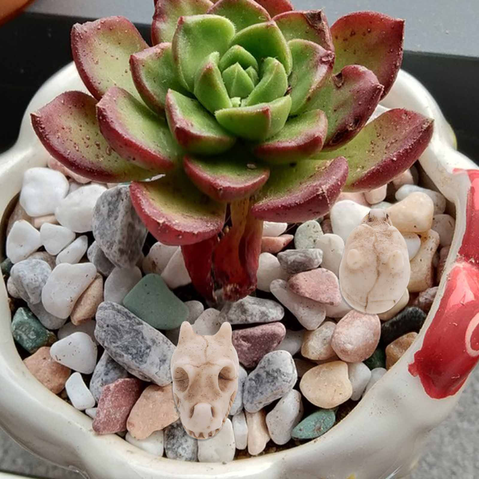 Aquarium Decor - 20Pcs Mini Dragon Skull Resin Outdoor