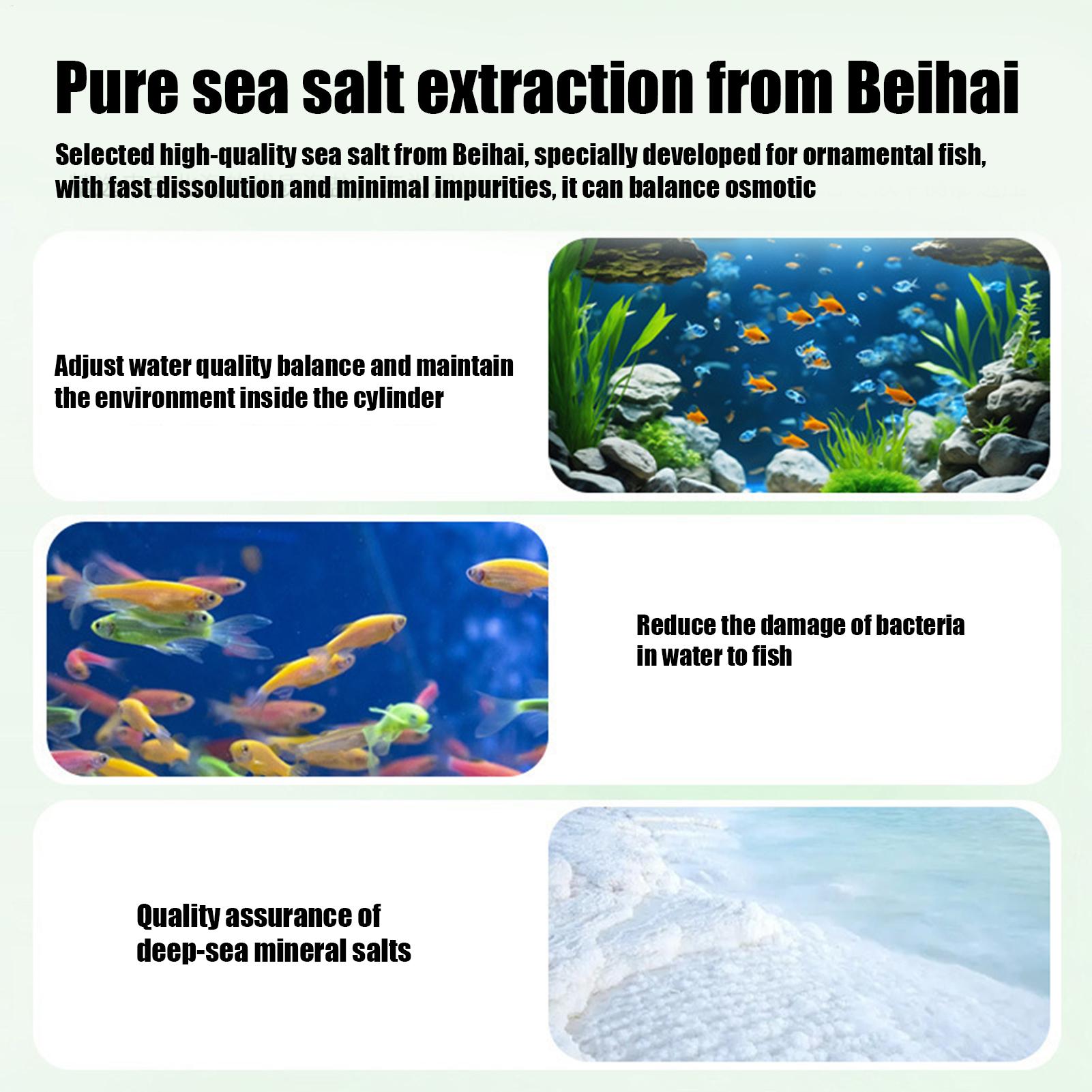 Fish Can Algae Remover Aquariu - Betta Fish Tank recension och pris