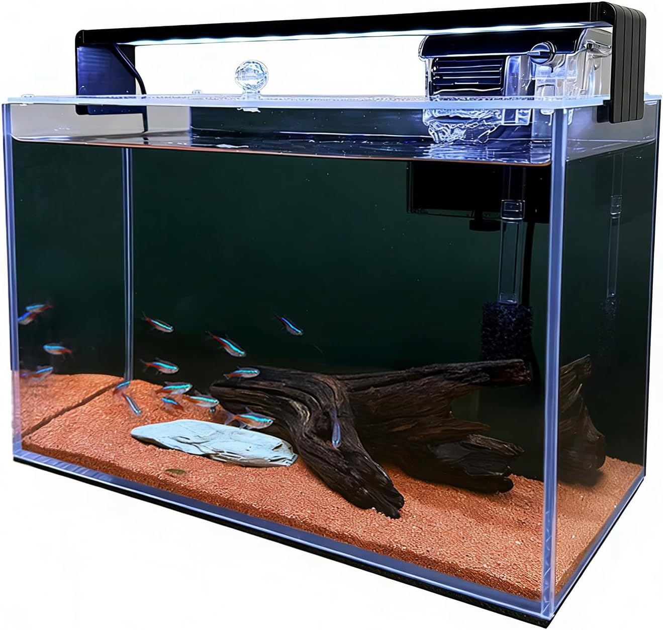 3.2 Gallon Nano Nature Aquariu - Betta Fish Tank recension och pris