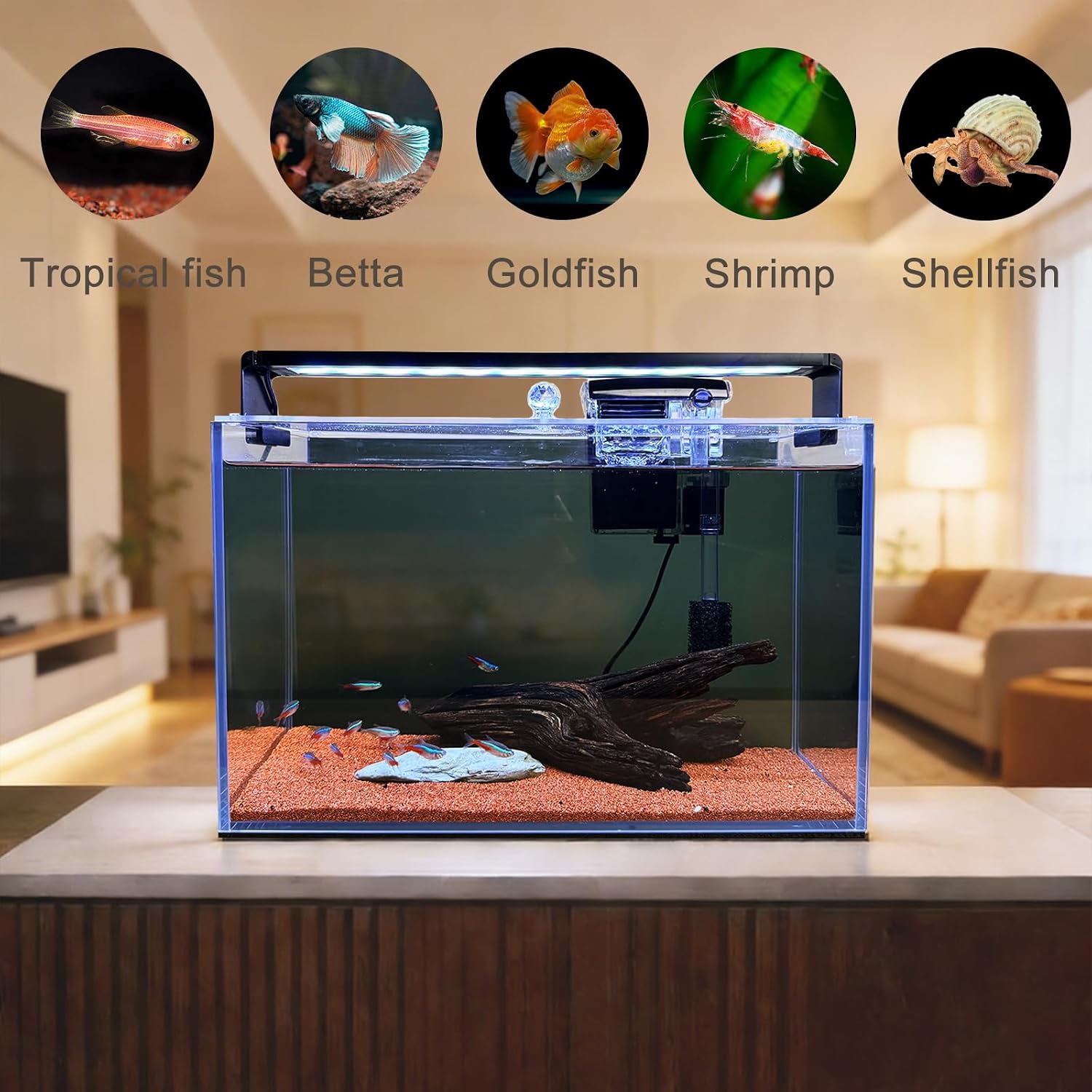 3.2 Gallon Nano Nature Aquariu - Betta Fish Tank recension och pris