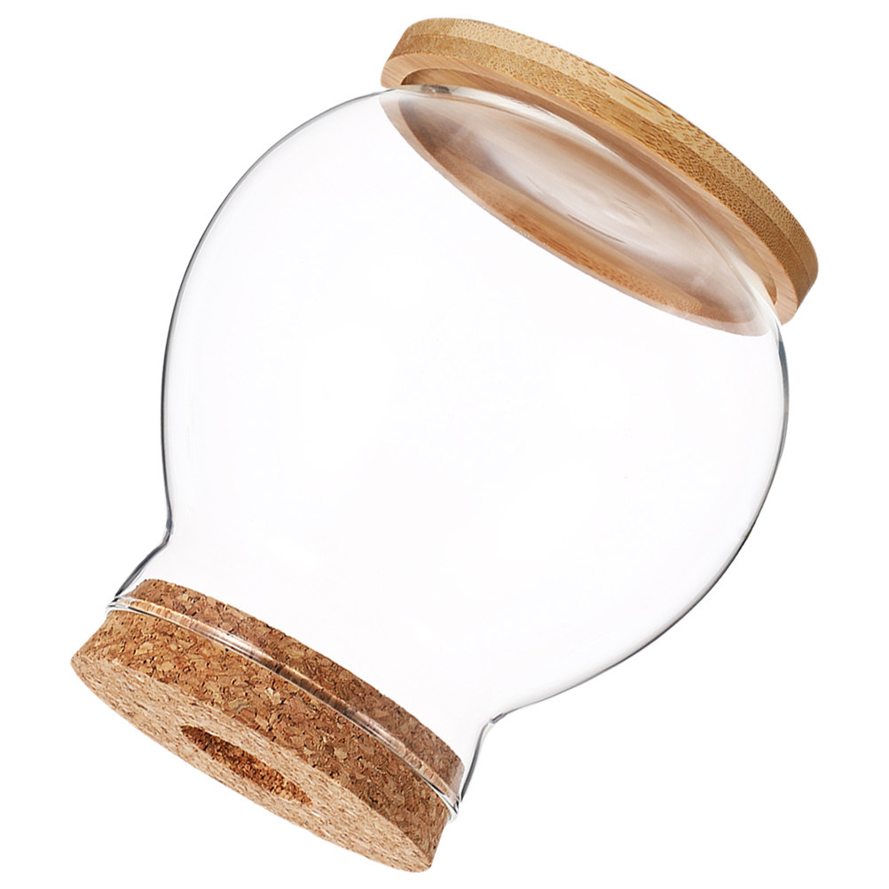 Desktop Betta Fish Tank Bowl w - Betta Fish Tank recension och pris