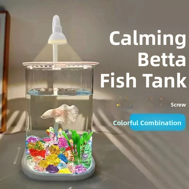 Full Set Transparent  Aquarium - Betta Fish Tank recension och pris