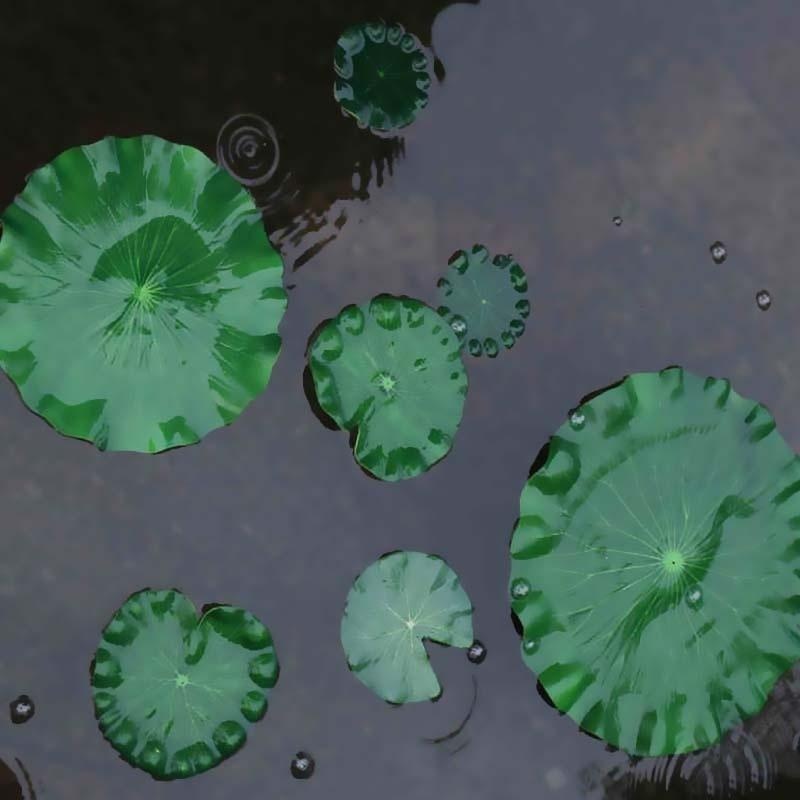2026 Artificial Water Lily Lot - Fish Aquarium Home recension och pris