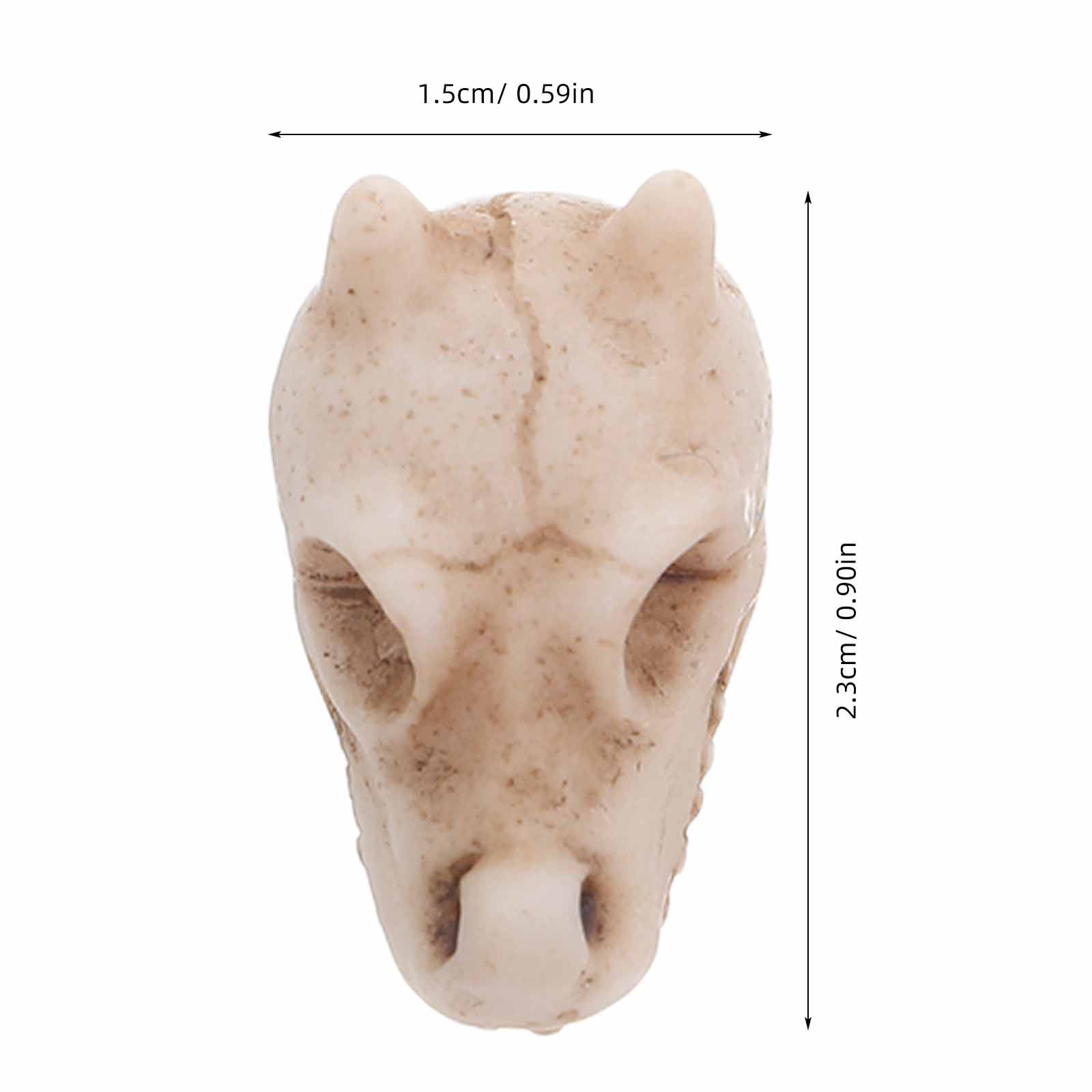 20Pcs Mini Dragon Skull Resin  - Aquarium Decor recension och pris