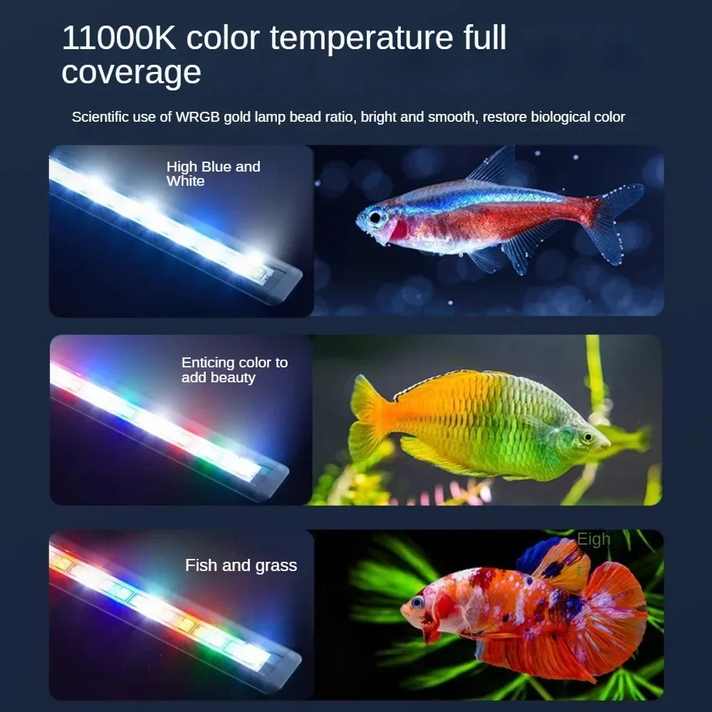Aquarium Lighting LED Light fo - Aquarium Fish Tank recension och pris